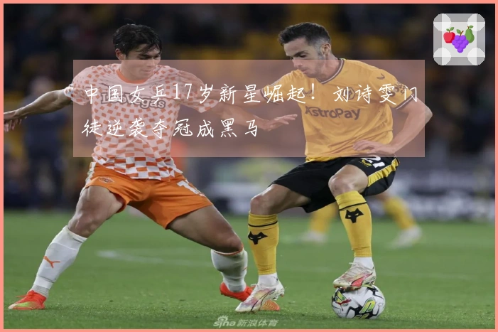 中国女乒17岁新星崛起！刘诗雯门徒逆袭夺冠成黑马